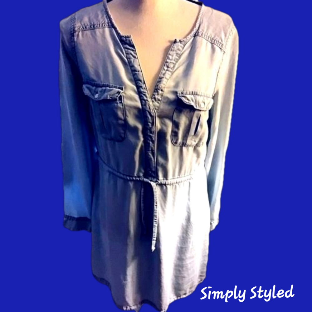Simply Styled Denim Dress